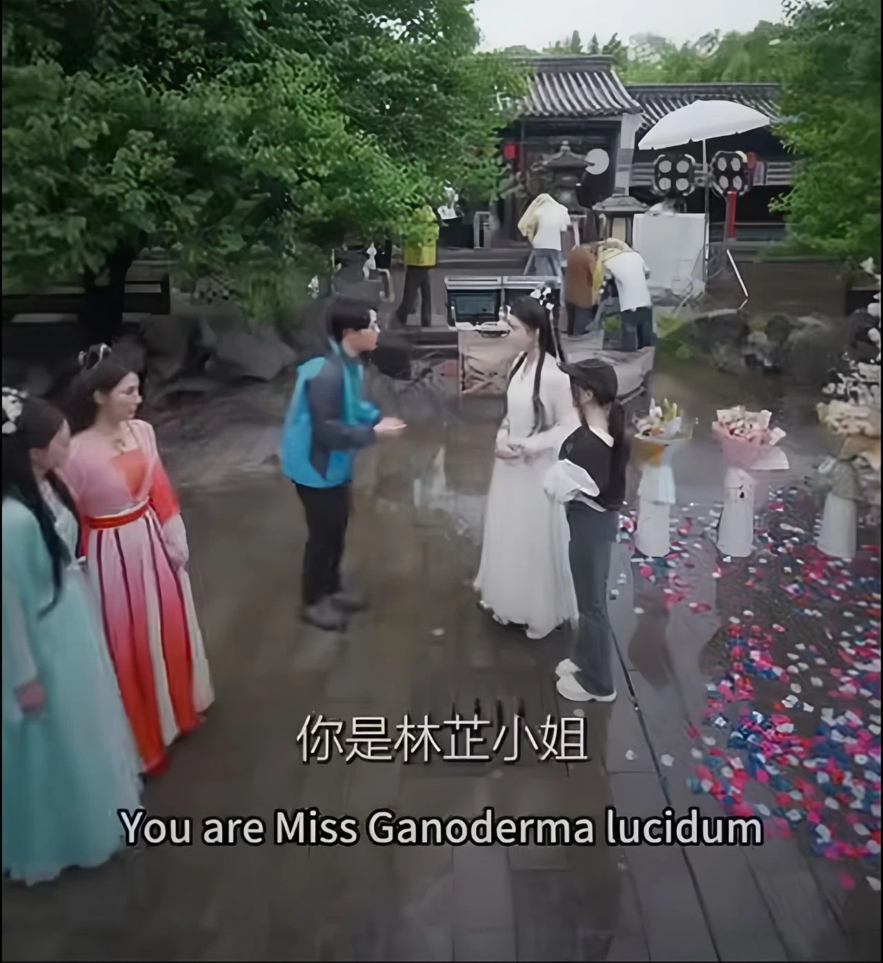 1744278140870838.jpg 在.jpg