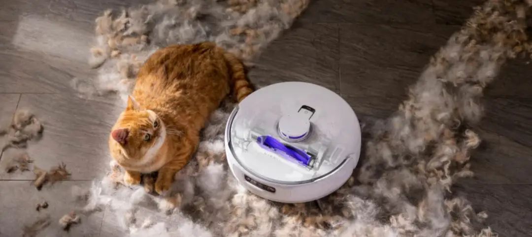 1744968442896187.jpg 的3.jpg