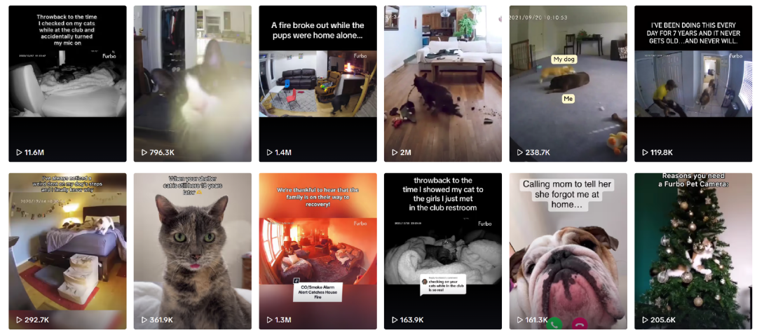 1749115712979540.png 的6.png