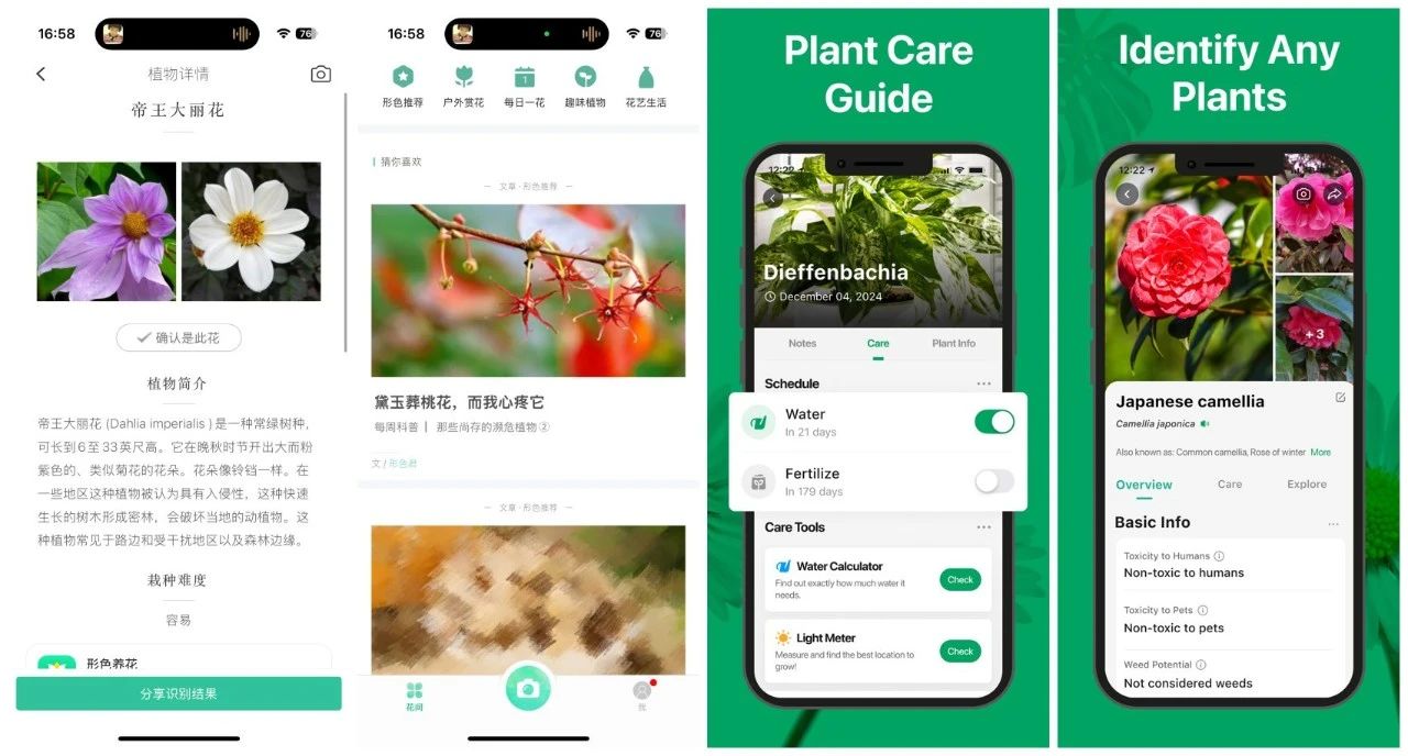 1750919843580191.jpg 是4.jpg