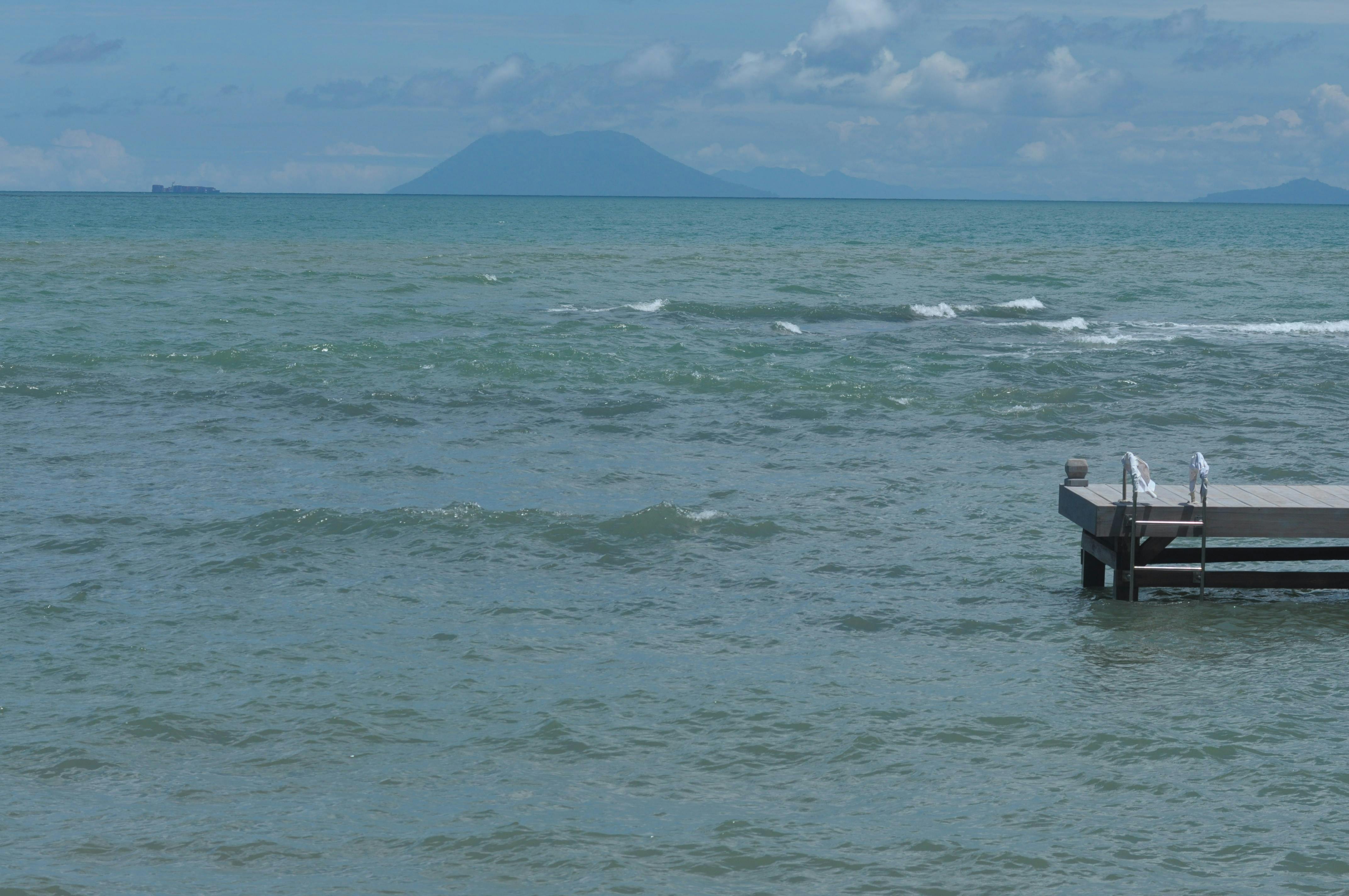 1756193223787823.jpg pexels-james-ibung-2150613499-33530351.jpg