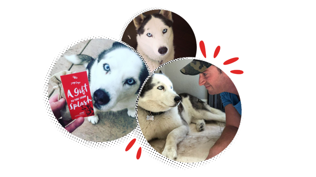 1756806632782902.png 发.png