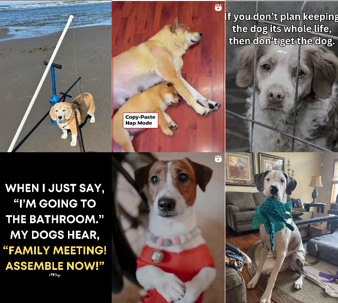 1756806712126473.png 发6.png