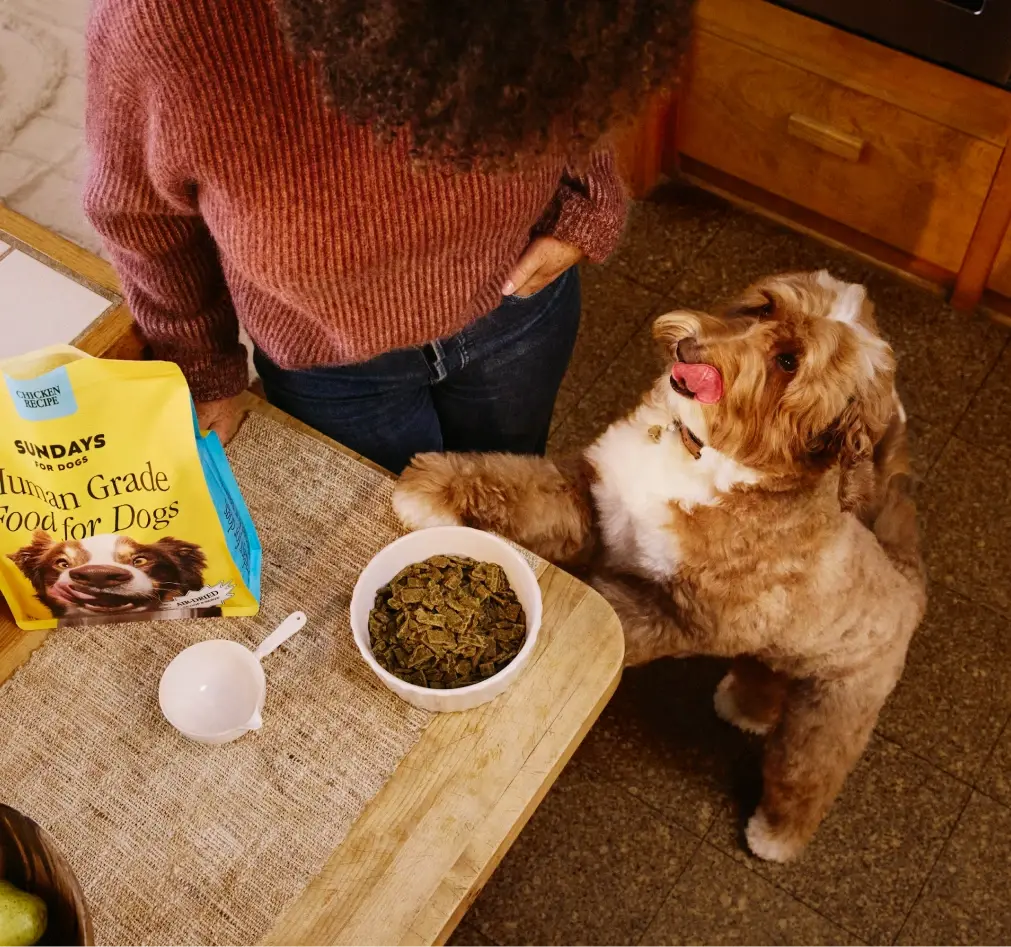 1761733435232433.png 的9.png