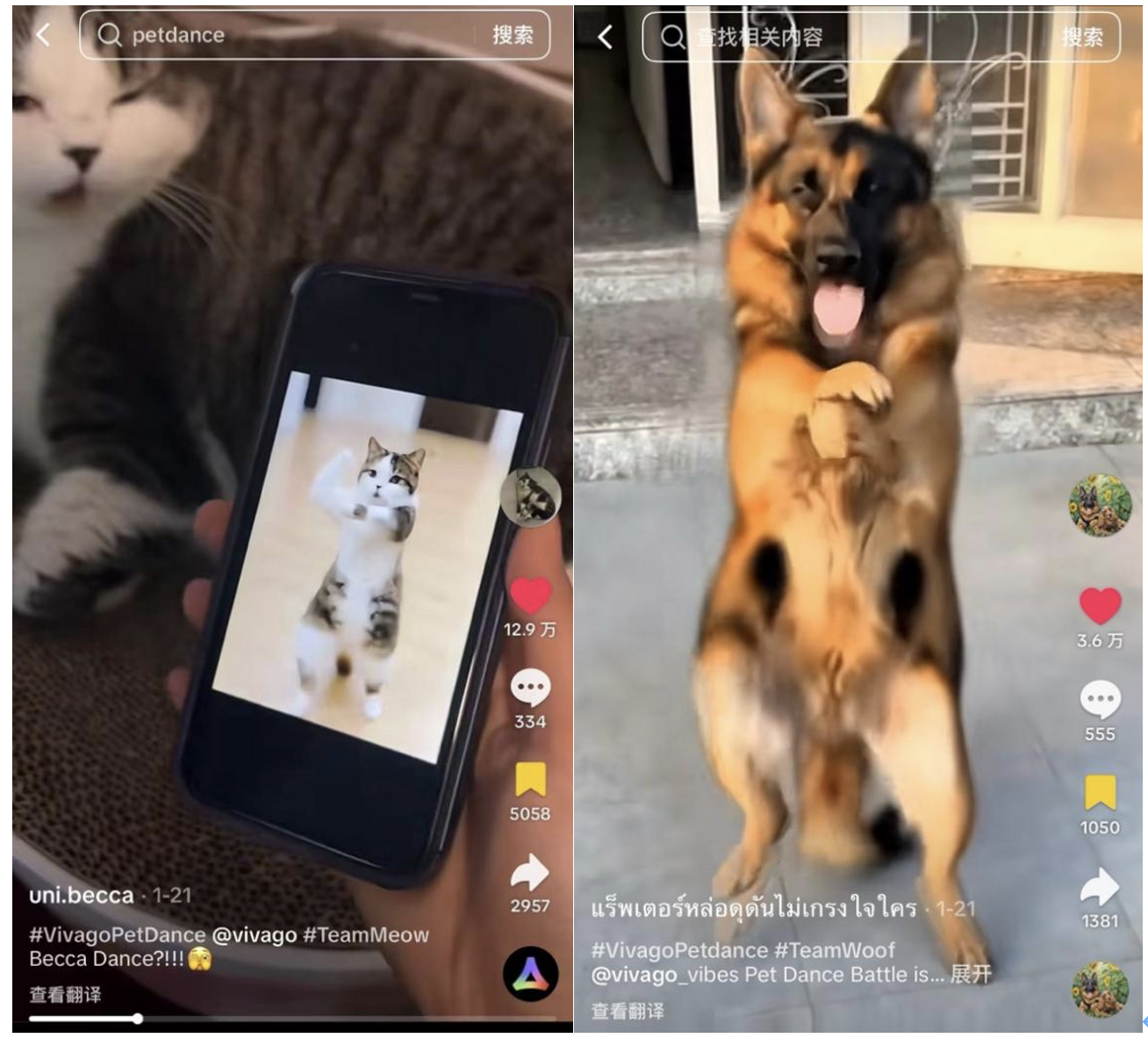 1770342416681846.png 5.png