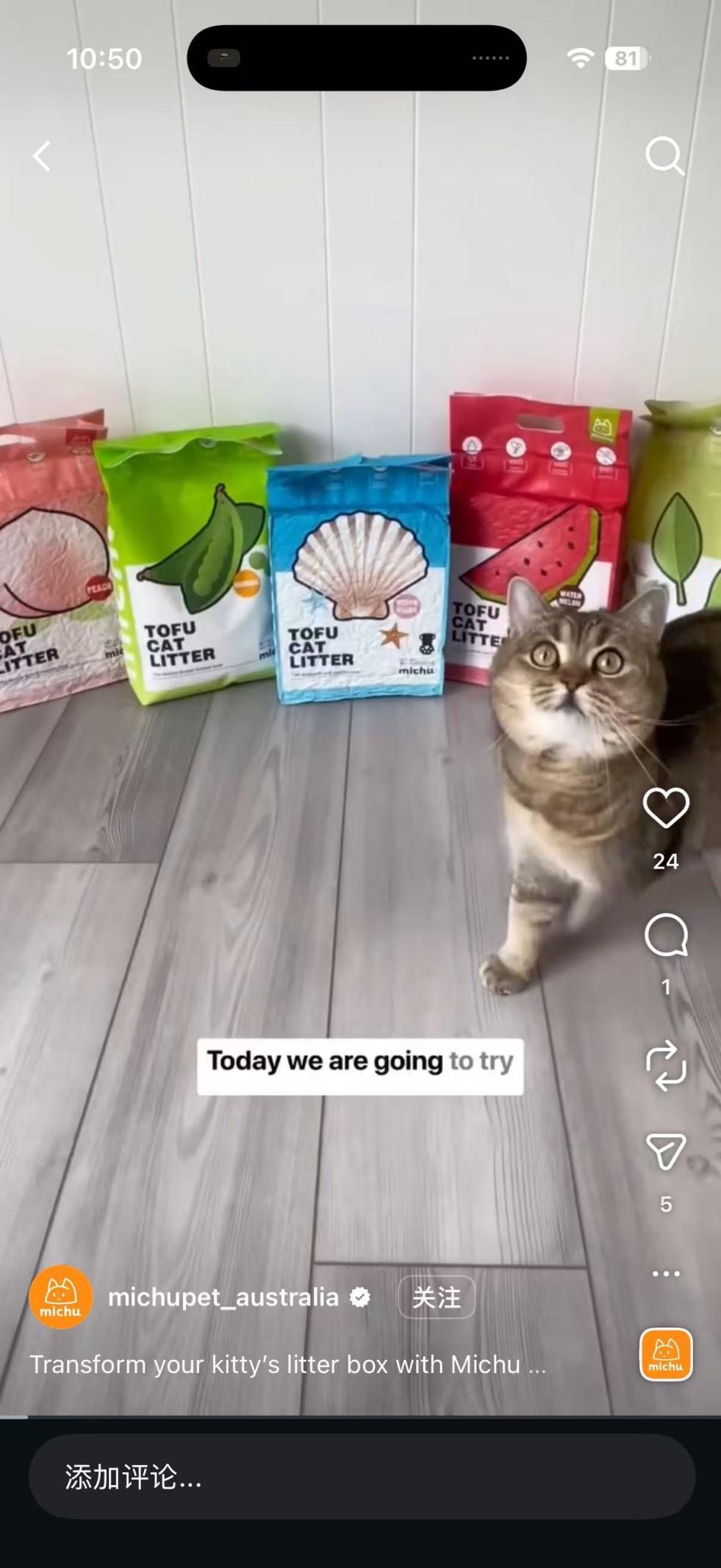 1771876535100132.png 图片6 (10).png