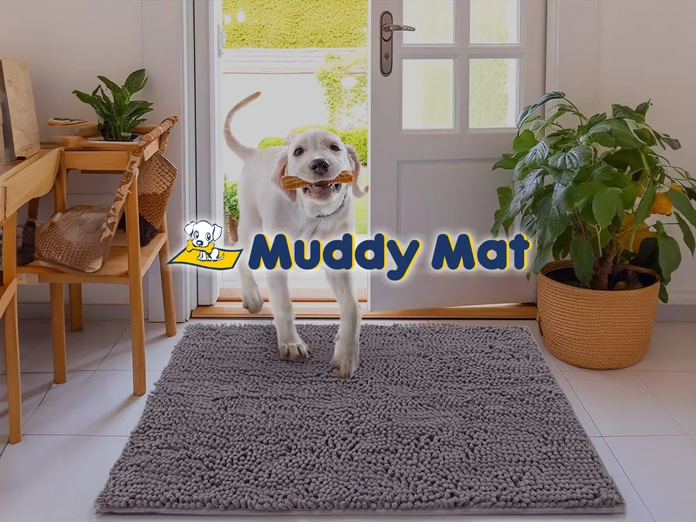 1779428867701580.png 在8.png