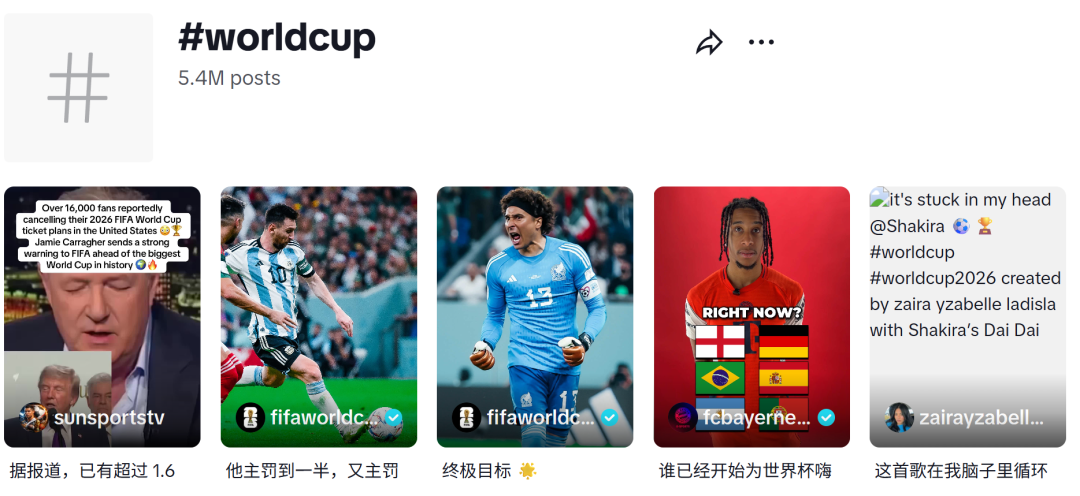 在5.png
