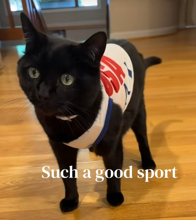 1781598118197284.png 的13.png