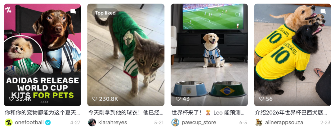 1781598191460979.png 的9.png