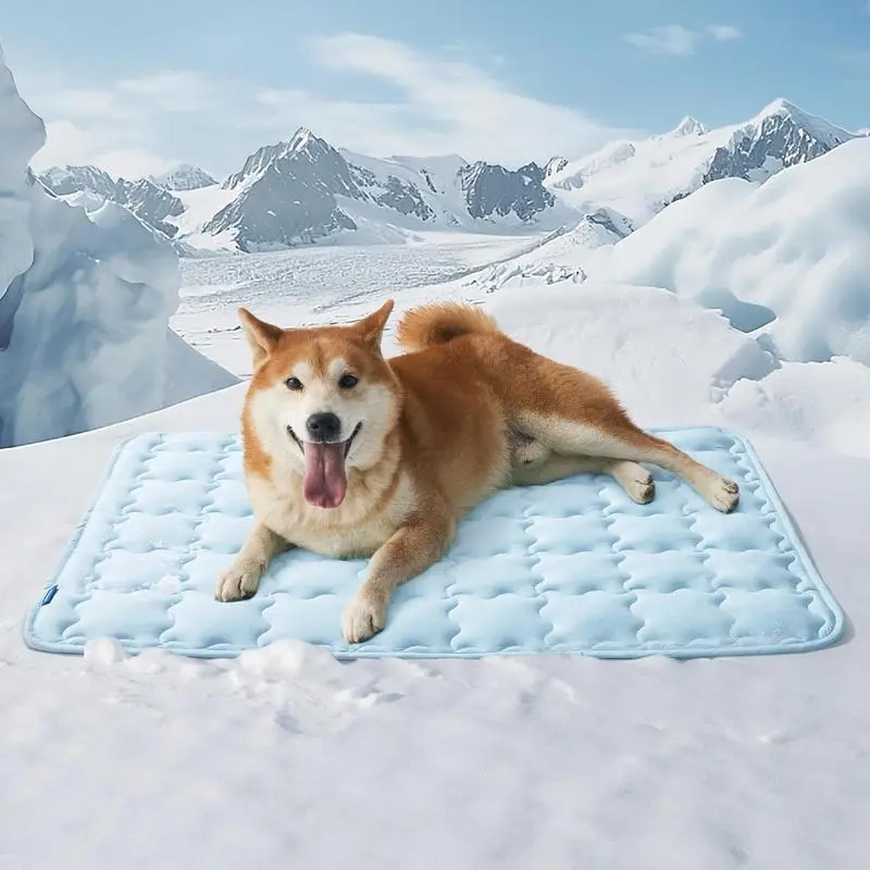 在3.png