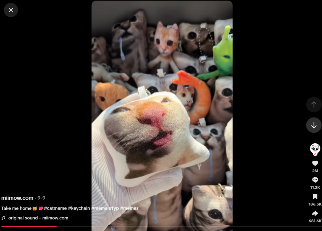 1790654356388632.png 在5.png