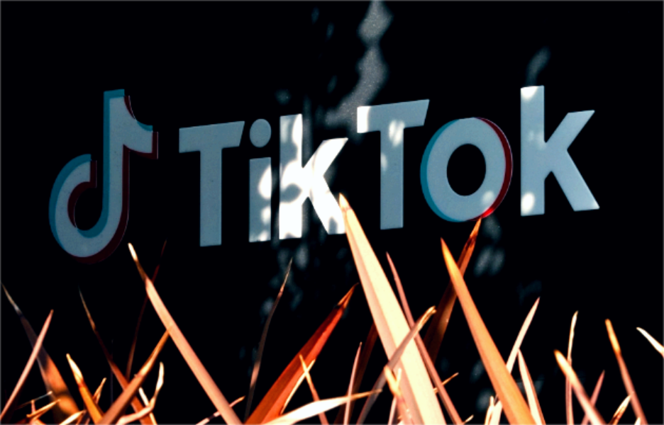 TikTok一边加速推进五大国新站点的上线，一边在美提起诉讼反击