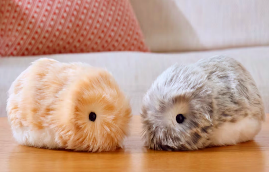 众筹9500万！莫夫林，跨境电商的下一个赛道风口