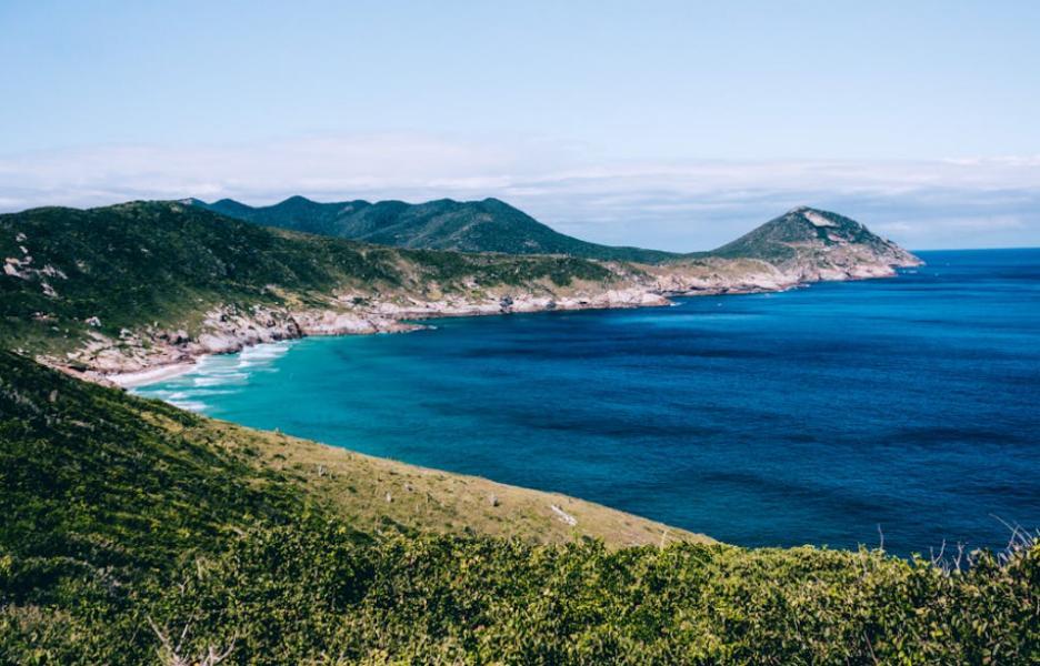 到巴西淘金去，一天卖出3000单