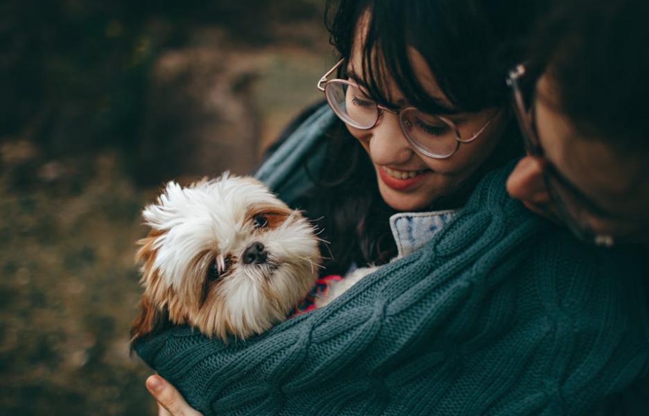 48小时狂揽355万！中国“电子修勾”让老外疯狂打钱