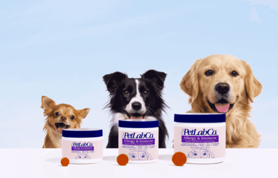 给老年狗狗喂保健品，它年赚2亿美金！