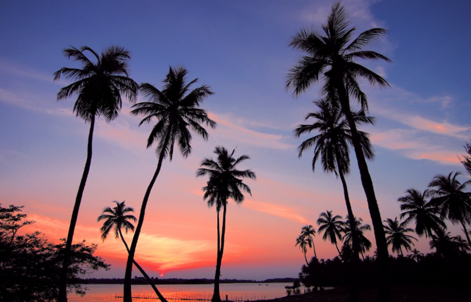 98%市场收入囊中，TikTok Shop与Shopee在该国“掰手腕”