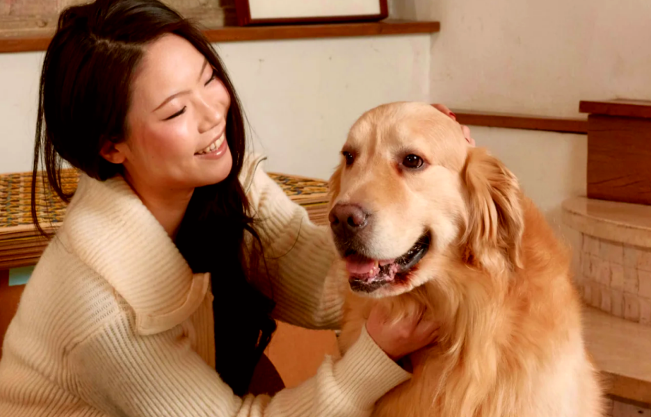 95后学霸组团为宠物“养生”，3个月赚百万