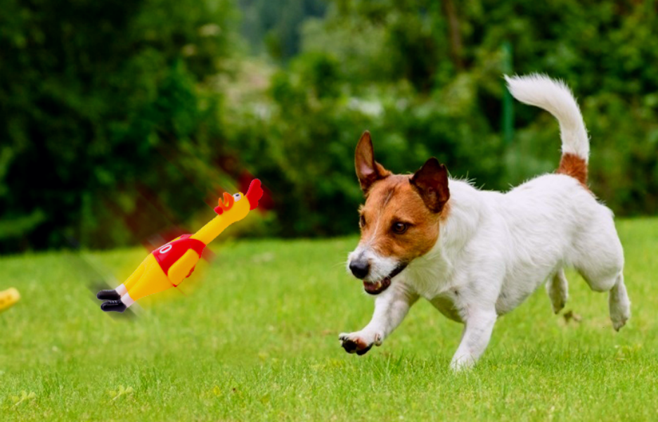 美加墨世界杯还没正式开踢，义乌升级版“尖叫鸡”在全球就先叫响了