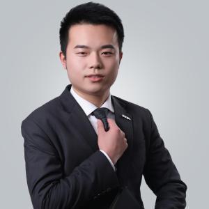 白鲸祥云
