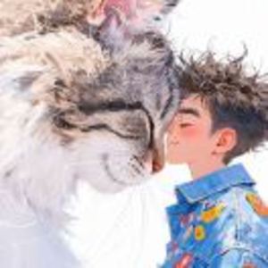 赵。。。。。。