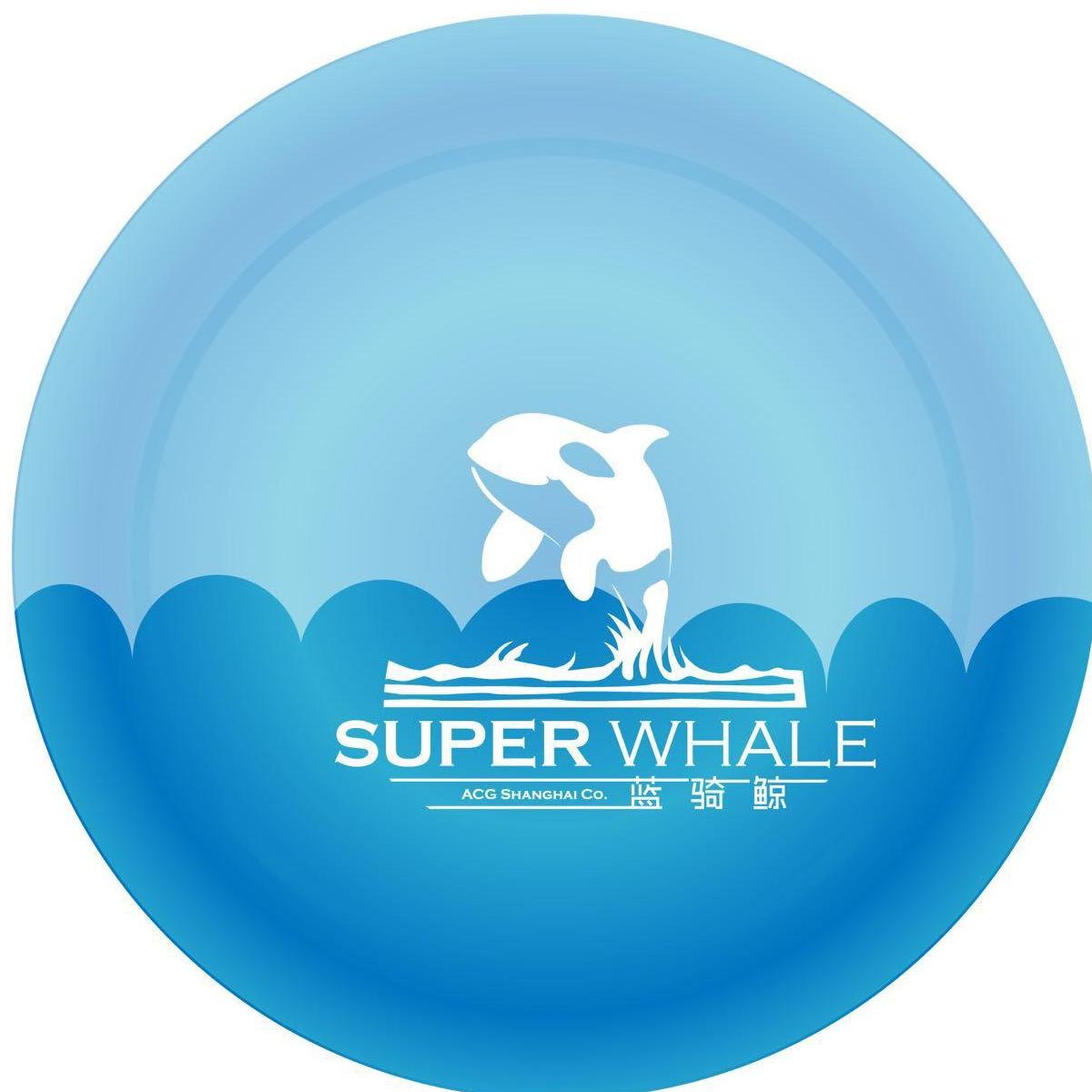 蓝骑鲸动漫信息科技(上海)有限公司