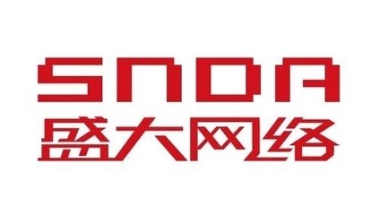 上海盛大网络发展有限公司