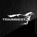 北京楚枫网络科技有限公司