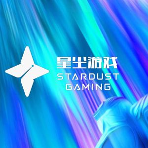 深圳市星尘游戏科技有限公司