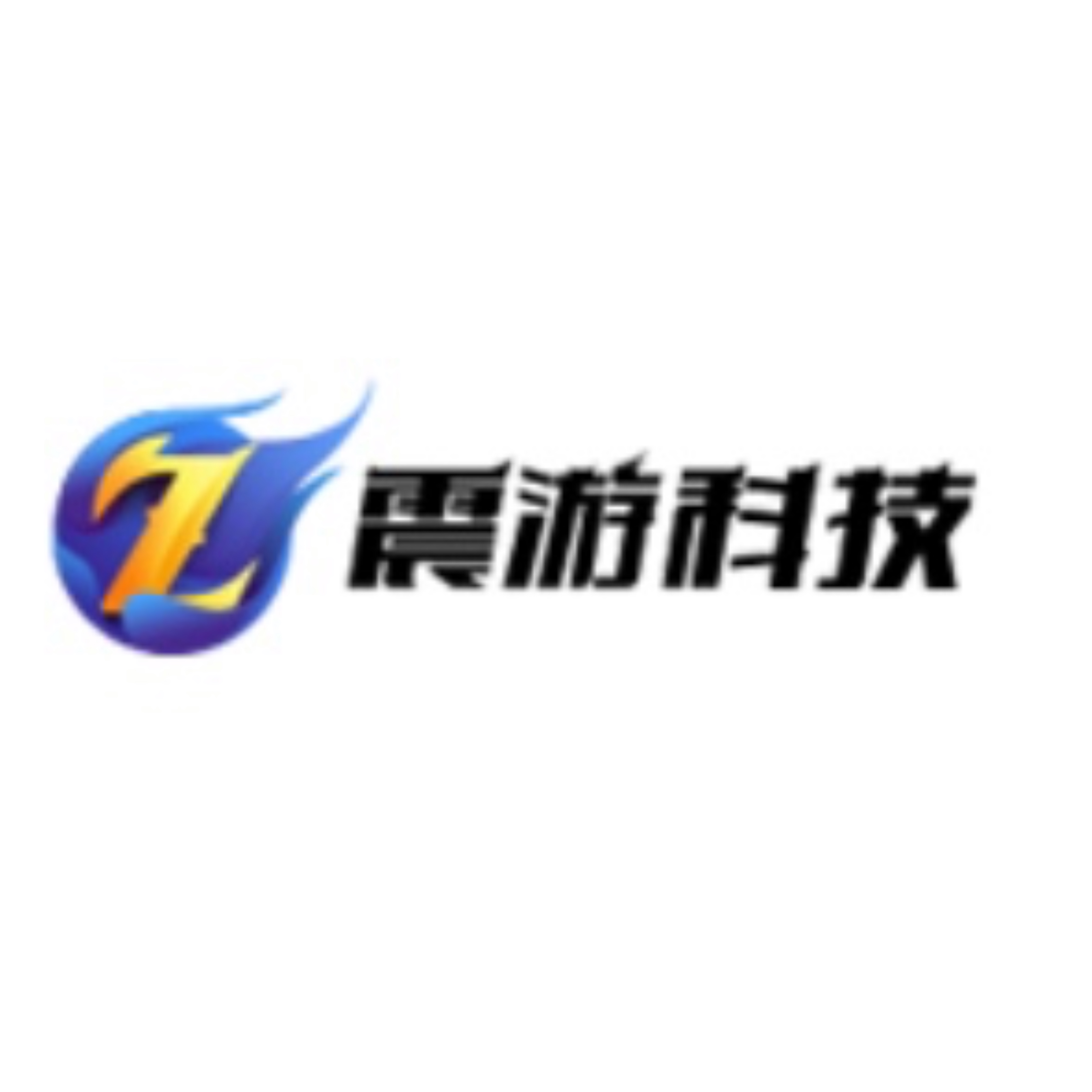 青岛震游软件科技有限公司