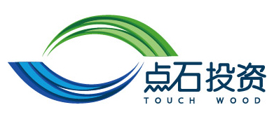 深圳市点石投资管理有限公司