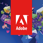2013 Advantage Adobe