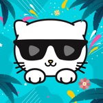 Kitty - Streaming & Broadcast
