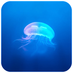 Jellyfish CM locker Theme