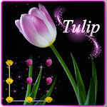Pink Tulip Beautiful Flower