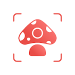 Picture Mushroom: Identifier