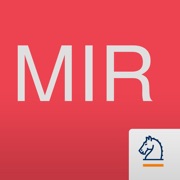 Management Int. Review