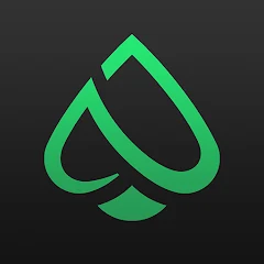 PPPoker-Holdem, Omaha, OFC