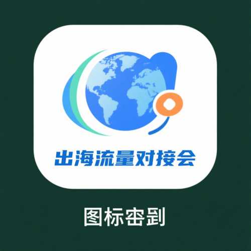 出海流量对接会